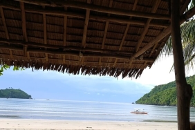 Nomadevo.com/pt/: A Jornada que Vai Além da Geografia