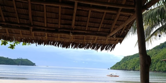 Nomadevo.com/pt/: A Jornada que Vai Além da Geografia